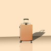 Trolley Case 01