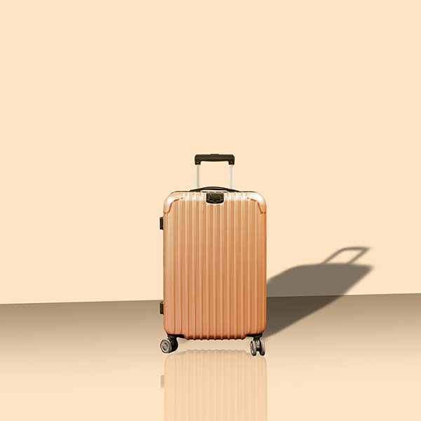Trolley Case 01