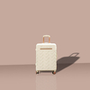 Trolley Case 10