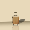 Trolley Case 06