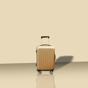 Trolley Case 06