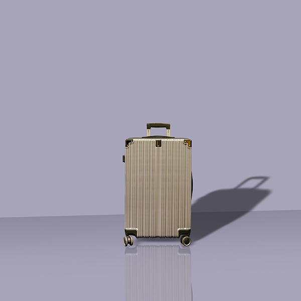 Trolley Case 08
