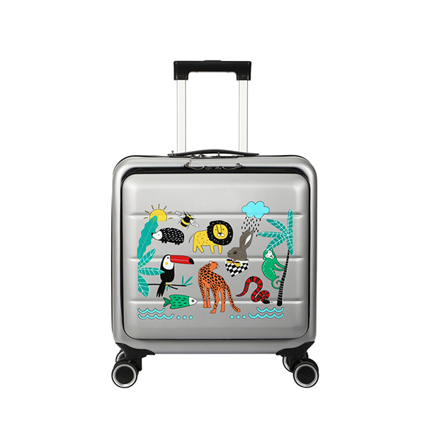 Customized Factory 20 inches large travel luggage durable PP luxury suitcase convenient boarding luggage